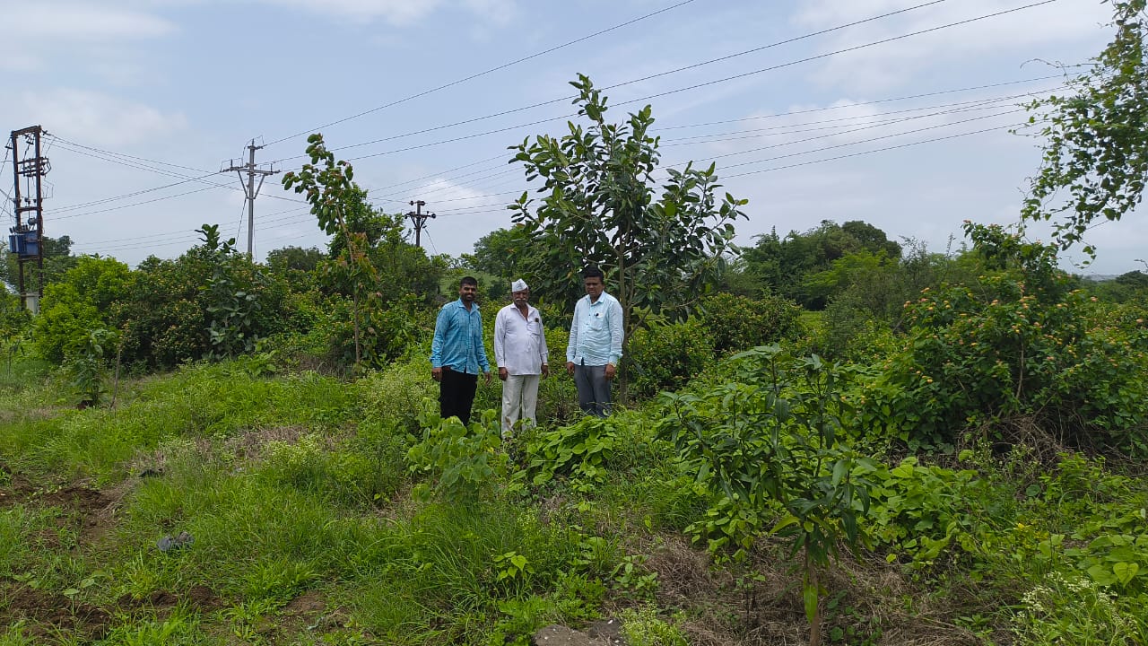 पर्यावरण जागृती